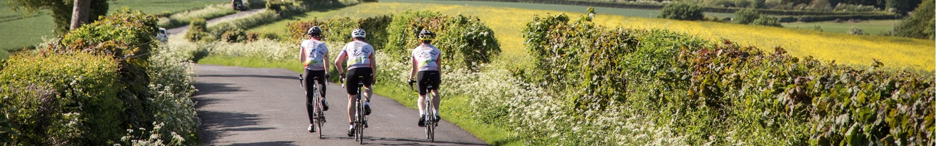 TridentResults App Timing