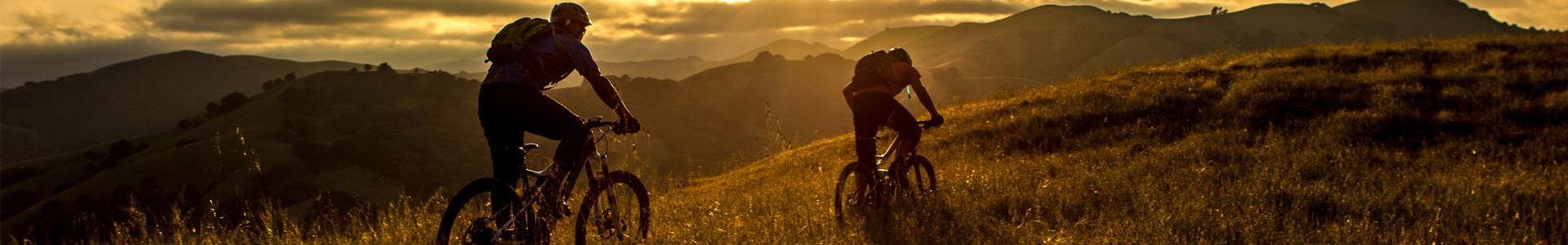 TridentResults App Timing